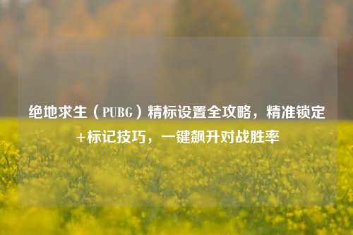 绝地求生(PUBG)精标设置全攻略,精准锁定+标记技巧,一键飙升对战胜率