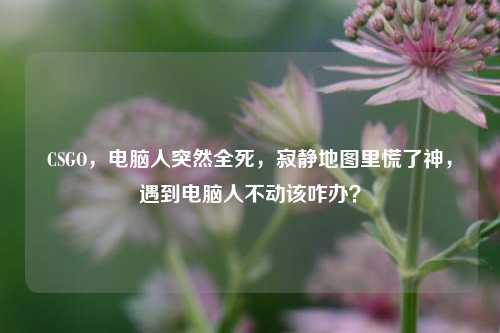 CSGO,电脑人突然全死,寂静地图里慌了神,遇到电脑人不动该咋办?
