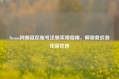 Steam阿根廷区账号注册实用指南,解锁低价游戏新世界