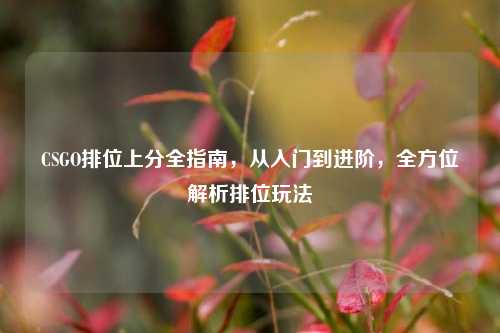 CSGO排位上分全指南，从入门到进阶，全方位解析排位玩法