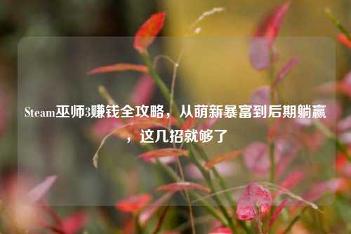 Steam巫师3赚钱全攻略，从萌新暴富到后期躺赢，这几招就够了