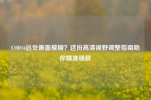 COD16远处画面模糊?这份高清视野调整指南助你精准锁敌