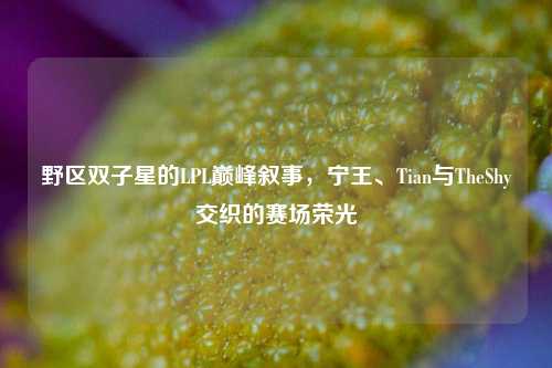 野区双子星的LPL巅峰叙事,宁王、Tian与TheShy交织的赛场荣光