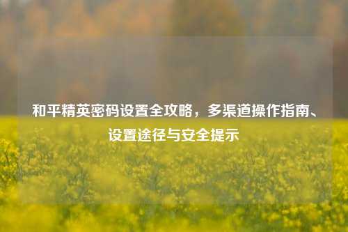 和平精英密码设置全攻略,多渠道操作指南、设置途径与安全提示