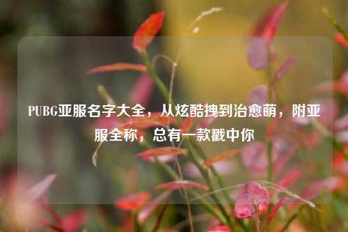 PUBG亚服名字大全，从炫酷拽到治愈萌，附亚服全称，总有一款戳中你