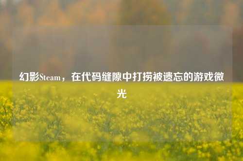 幻影Steam,在代码缝隙中打捞被遗忘的游戏微光