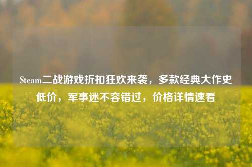 Steam二战游戏折扣狂欢来袭，多款经典大作史低价，军事迷不容错过，价格详情速看