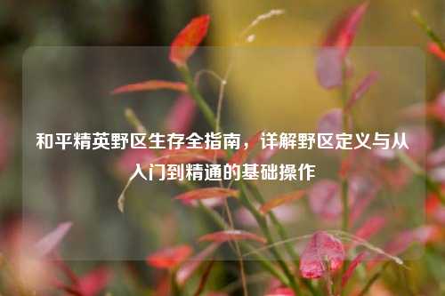 和平精英野区生存全指南,详解野区定义与从入门到精通的基础操作