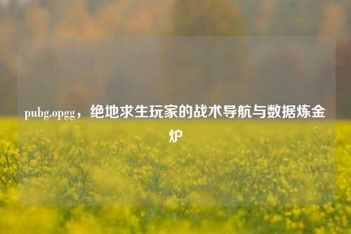 pubg.opgg,绝地求生玩家的战术导航与数据炼金炉