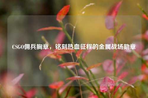 CSGO佣兵胸章,铭刻热血征程的金属战场勋章