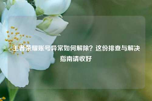 王者荣耀账号异常如何解除?这份排查与解决指南请收好