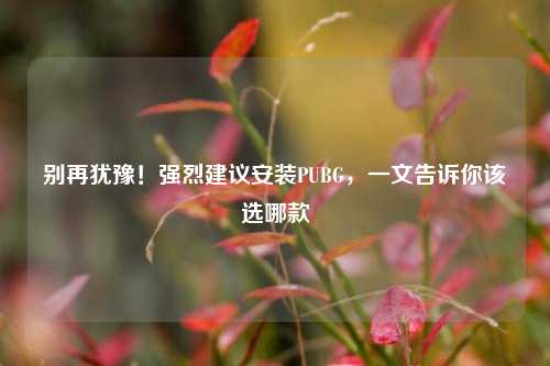 别再犹豫!强烈建议安装PUBG,一文告诉你该选哪款