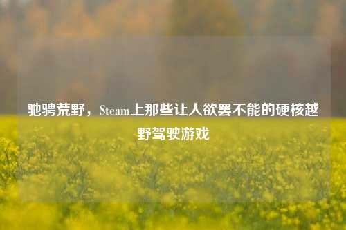 驰骋荒野，Steam上那些让人欲罢不能的硬核越野驾驶游戏