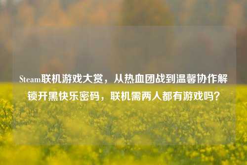 Steam联机游戏大赏，从热血团战到温馨协作解锁开黑快乐密码，联机需两人都有游戏吗？