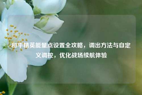 和平精英能量点设置全攻略,调出方法与自定义调控,优化战场续航体验