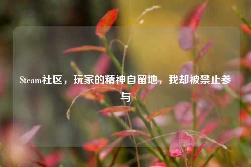 Steam社区,玩家的精神自留地,我却被禁止参与