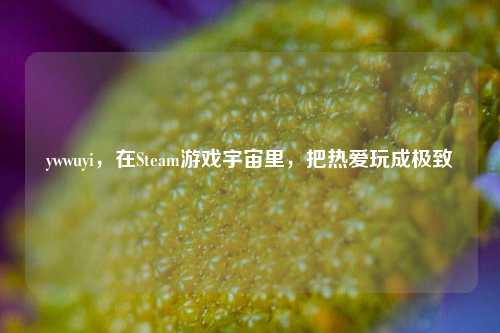 ywwuyi,在Steam游戏宇宙里,把热爱玩成极致