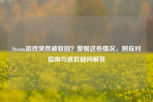 Steam游戏突然被收回?警惕这些情况,附应对指南与退款疑问解答