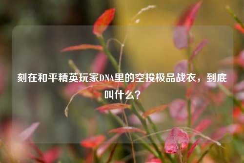刻在和平精英玩家DNA里的空投极品战衣，到底叫什么？