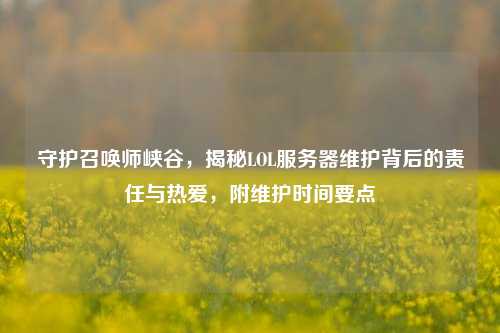 守护召唤师峡谷,揭秘LOL服务器维护背后的责任与热爱,附维护时间要点