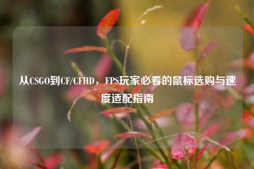 从CSGO到CF/CFHD,FPS玩家必看的鼠标选购与速度适配指南