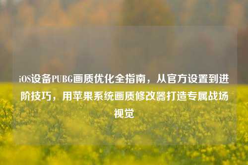 iOS设备PUBG画质优化全指南,从官方设置到进阶技巧,用苹果系统画质修改器打造专属战场视觉