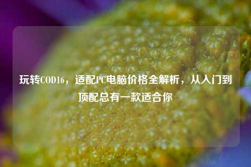 玩转COD16,适配PC电脑价格全解析,从入门到顶配总有一款适合你