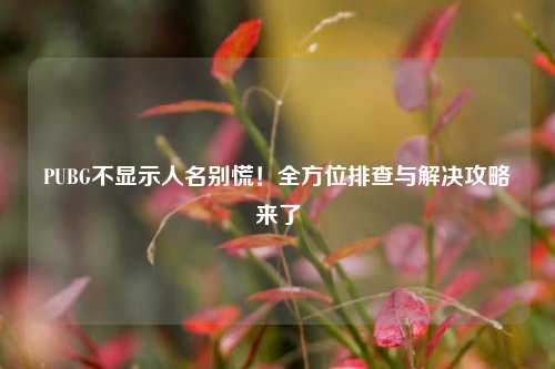 PUBG不显示人名别慌！全方位排查与解决攻略来了