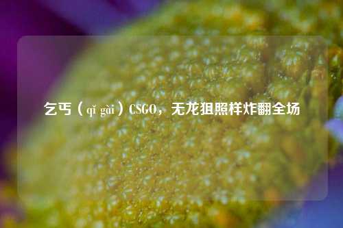 乞丐(qǐ gài)CSGO,无龙狙照样炸翻全场