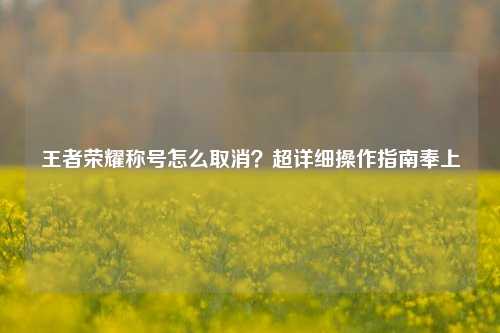 王者荣耀称号怎么取消？超详细操作指南奉上
