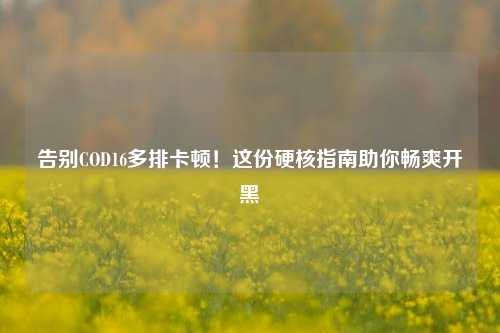 告别COD16多排卡顿!这份硬核指南助你畅爽开黑
