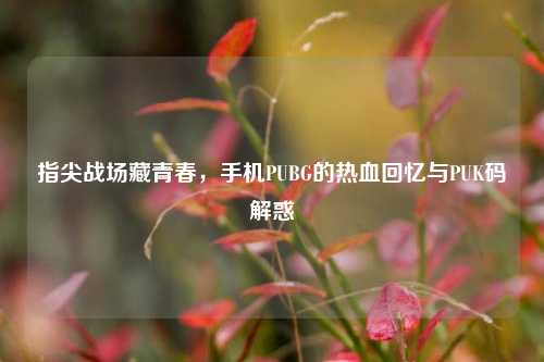 指尖战场藏青春，手机PUBG的热血回忆与PUK码解惑