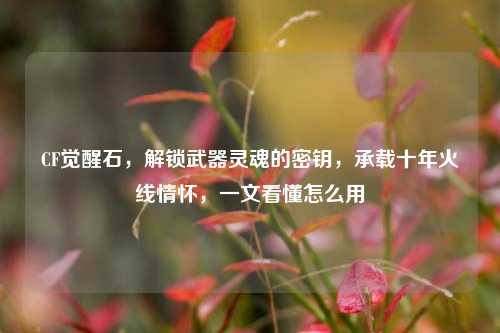 CF觉醒石,解锁武器灵魂的密钥,承载十年火线情怀,一文看懂怎么用