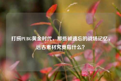 打捞PUBG黄金时代，那些被遗忘的战场记忆，远古素材究竟指什么？
