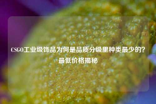 CSGO工业级饰品为何是品质分级里种类最少的？最低价格揭秘