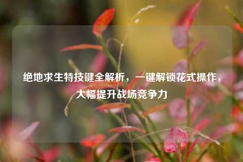 绝地求生特技键全解析,一键解锁花式操作,大幅提升战场竞争力