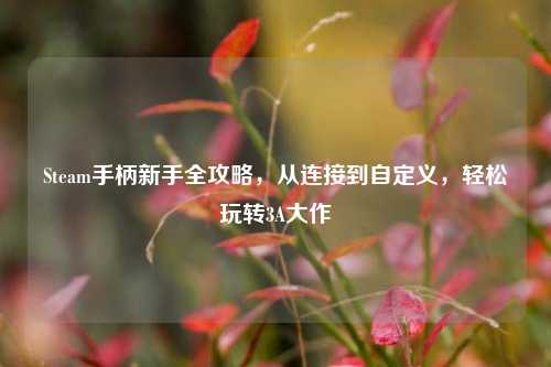 Steam手柄新手全攻略,从连接到自定义,轻松玩转3A大作