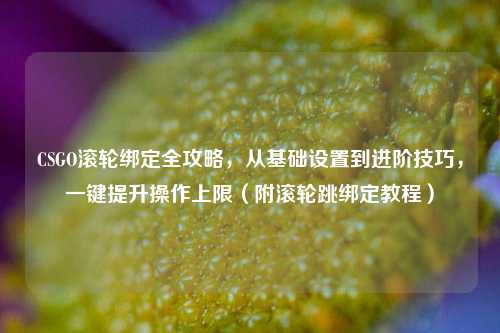 CSGO滚轮绑定全攻略,从基础设置到进阶技巧,一键提升操作上限(附滚轮跳绑定教程)