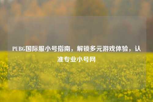PUBG国际服小号指南,解锁多元游戏体验,认准专业小号网