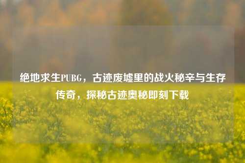绝地求生PUBG,古迹废墟里的战火秘辛与生存传奇,探秘古迹奥秘即刻下载