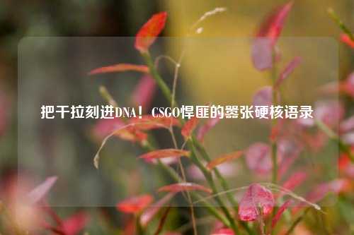 把干拉刻进DNA！CSGO悍匪的嚣张硬核语录