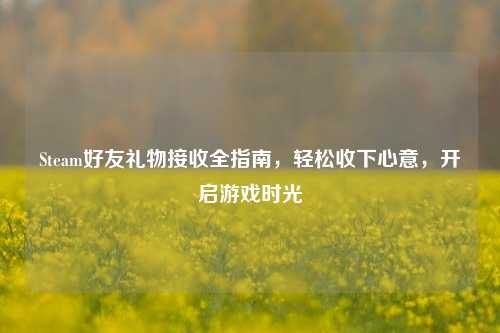 Steam好友礼物接收全指南,轻松收下心意,开启游戏时光