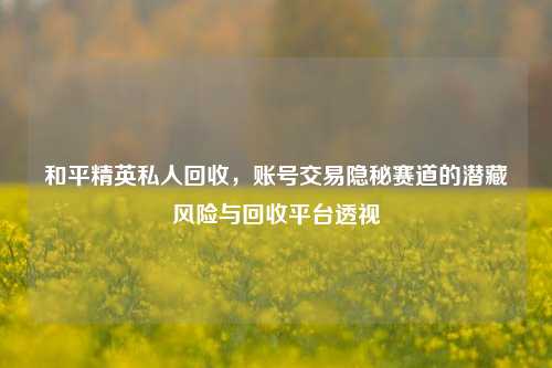 和平精英私人回收，账号交易隐秘赛道的潜藏风险与回收平台透视