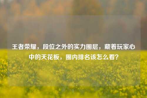 王者荣耀，段位之外的实力圈层，藏着玩家心中的天花板，圈内排名该怎么看？