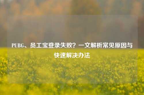 PUBG、员工宝登录失败?一文解析常见原因与快速解决办法