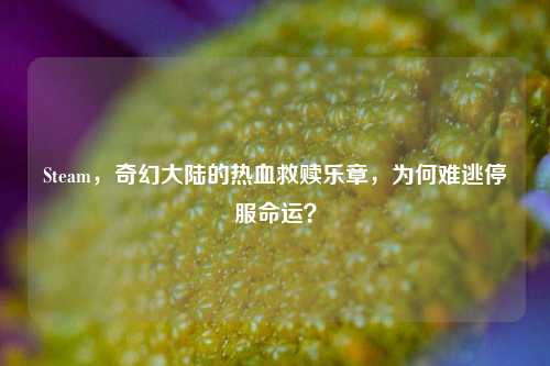 Steam，奇幻大陆的热血救赎乐章，为何难逃停服命运？