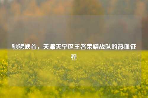 驰骋峡谷，天津天宁区王者荣耀战队的热血征程
