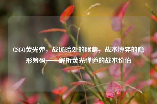CSGO荧光弹,战场暗处的眼睛,战术博弈的隐形筹码——解析荧光弹道的战术价值
