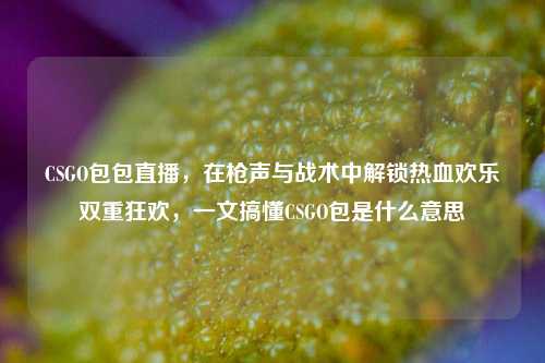 CSGO包包直播,在枪声与战术中解锁热血欢乐双重狂欢,一文搞懂CSGO包是什么意思
