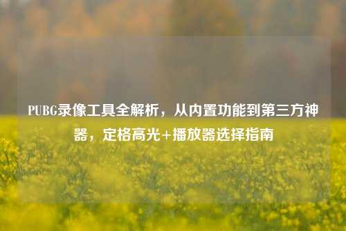 PUBG录像工具全解析，从内置功能到第三方神器，定格高光+播放器选择指南